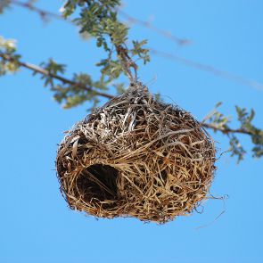 How to Cope With Empty Nest Syndrome