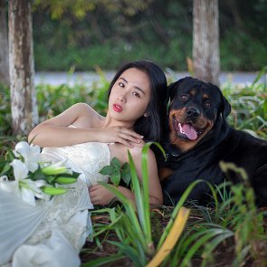 How to Include Your Pet in Your Wedding