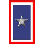 Silver Star Service Banner Day in the United States