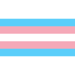 National Trans Visibility Day in Brazil