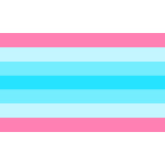 Trans Men and Transmasculine People Day in Brazil