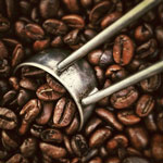 Peruvian Coffee Day