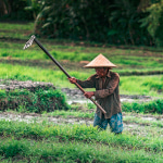 Day of the Landless