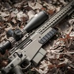 International Small Arms Destruction Day
