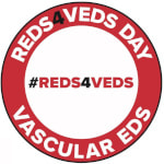 REDS4VEDS Day
