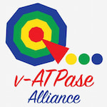 International V-ATPase Awareness Day