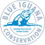 International Blue Iguana Day