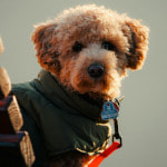 Every Day Is Tag Day