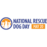 National Rescue Dog Day in the United States