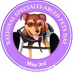 National Specially-abled Pets Day