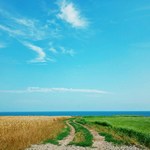 Steppe Day in Ukraine