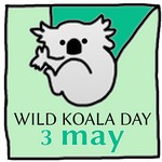 Wild Koala Day in Australia