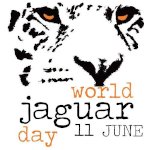 World Jaguar Day