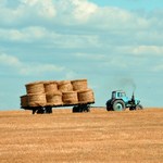 National Farm Rescuer Day