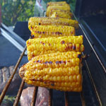 National Corn on the Cob Day