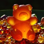National Gummi Bear Day