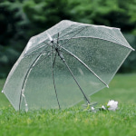 Umbrella Day in Japan