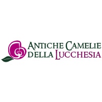 Ancient Camellias of Lucca (Antiche Camelie della Lucchesia)