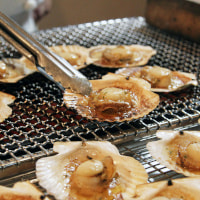 Scallop and Fishing Festival (Fête de la Coquille et de la Pêche)