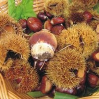 Marunada (Chestnut Festival in Croatia)