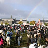 Ballinasloe Horse Fair & Festival