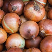 Zibelemärit (Bern Onion Market)