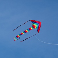 International Kite Festival in Gujarat